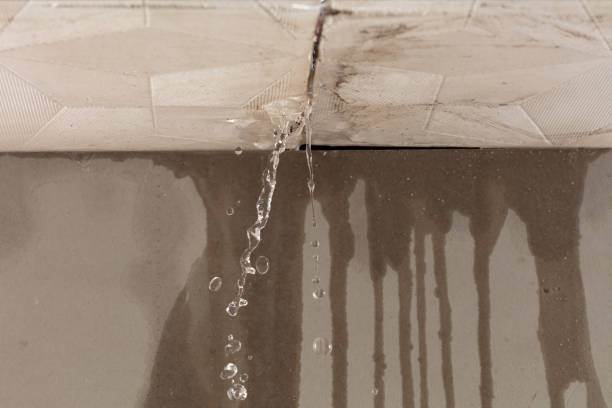 Professional Structural Drying technician working in Highland, OH